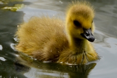 So soft and fuzzy.