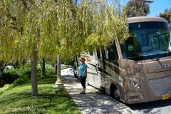 But Bessie called to us.