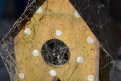 Some of its merchandise had been around for a while.