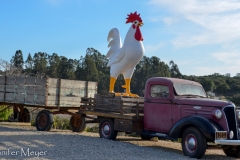 Truck and rooster.