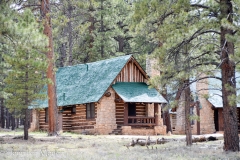 Cute log cabins by the lodge.