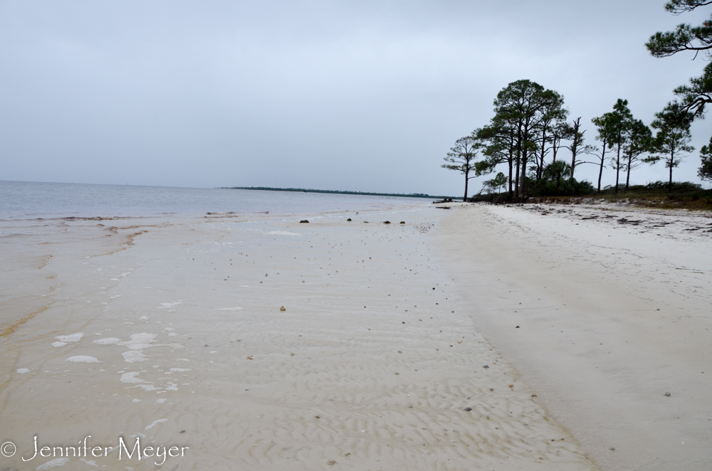 Barbara Ann and I walked the dogs to this neighborhood beach.