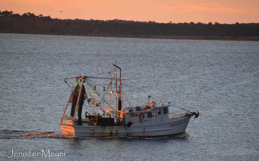 The Tropical Trader supplies Panacea with shrimp.
