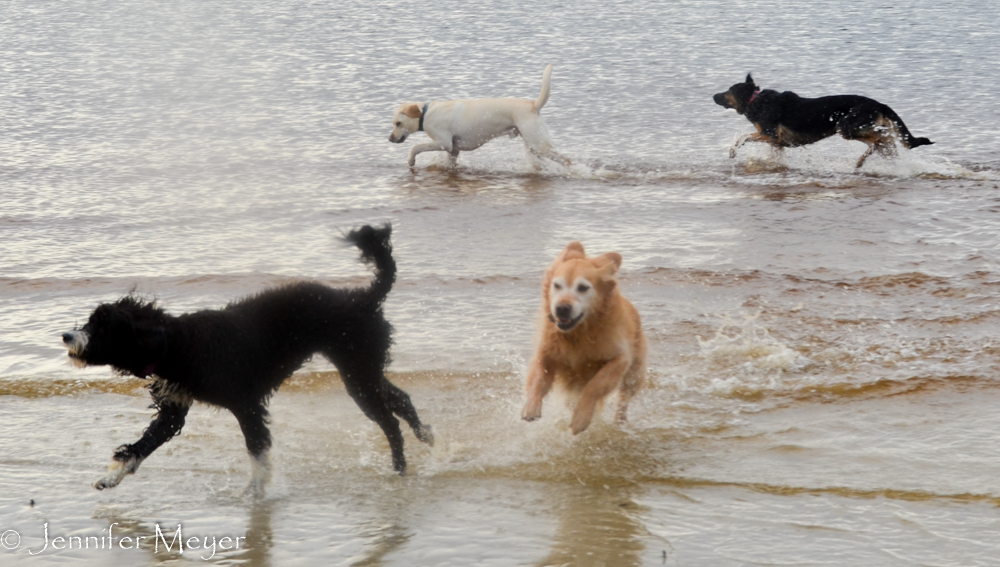 She loves a good swim.