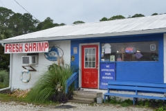 Kate and I bought fresh gulf shrimp from here.