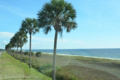 Mexico Beach was right on the highway and you could park anywhere along the road.