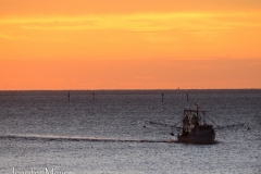 Shrimp boat.