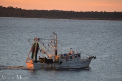 The Tropical Trader supplies Panacea with shrimp.