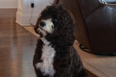 Well-behaved Maysea.