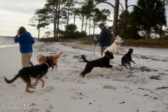 The neighbors all meet in the morning for "dog fest."