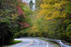 The drive was just gorgeous.