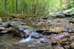 Though most shots had to be through the windshield, we could pull over for this riverbed.