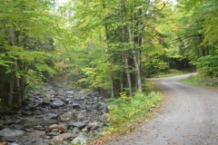 We drove down this national park road by Texas Falls.