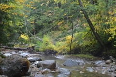 Except for the sound of the river.