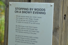 With a dozen or so poems along the way.