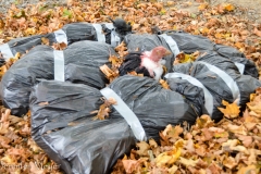 Not for the little ones!