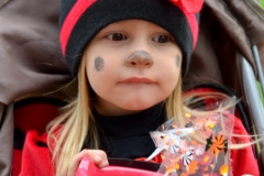 A lady bug.