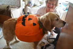 She got Bailey's costume at Goodwill.