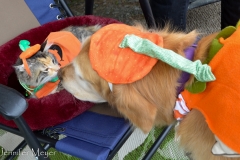 The two commiserate.