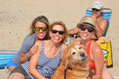 Bailey one-ups Gypsy with this gorgeous fan club.