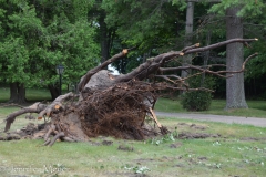 We must have driven through right after it happened.