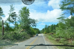 When we got near Glen Arbor, we saw the destruction we had nearly missed.