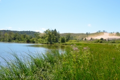 We stopped at Arbor Lake for lunch.