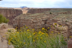 Little Colorado River Canyon.
