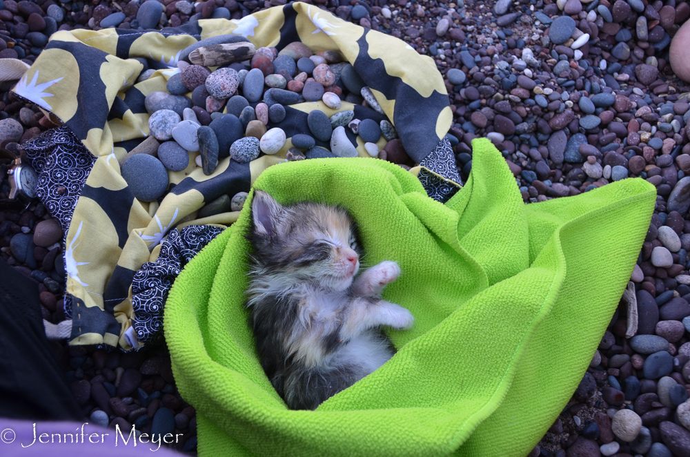 And after a while, she took a nap.