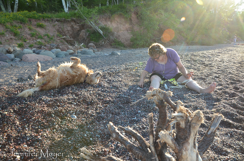 Bailey loved to roll in them. Kate loved to search through them.