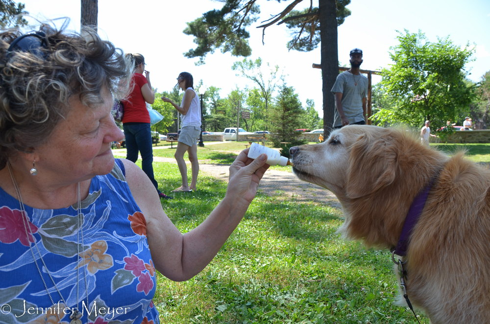 Bailey wanted to try Gypsy's bottle.