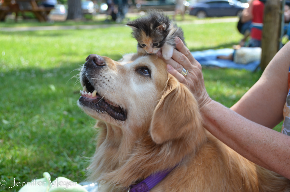 Bailey's not in love yet, but she's so tolerant.