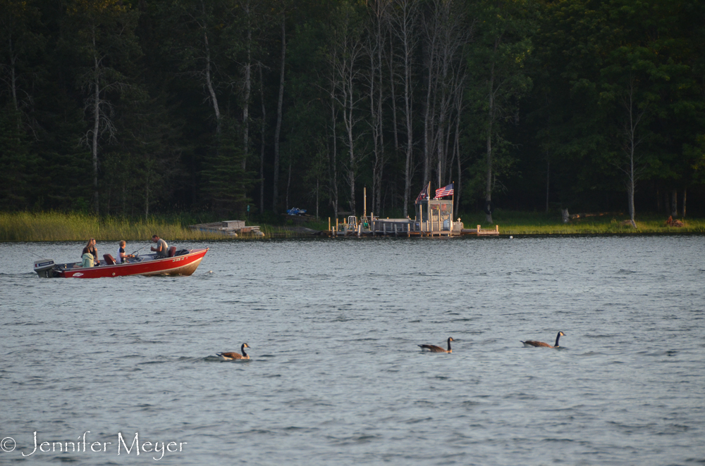 Just enough time to watch the geese...