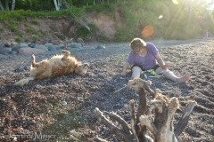Bailey loved to roll in them. Kate loved to search through them.