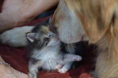 The first nose-to-nose.