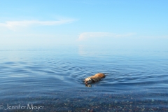 Bailey was so happy to swim.