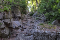 ...and the tricky steep path, Kate decided to stay in the car with the fur kids.