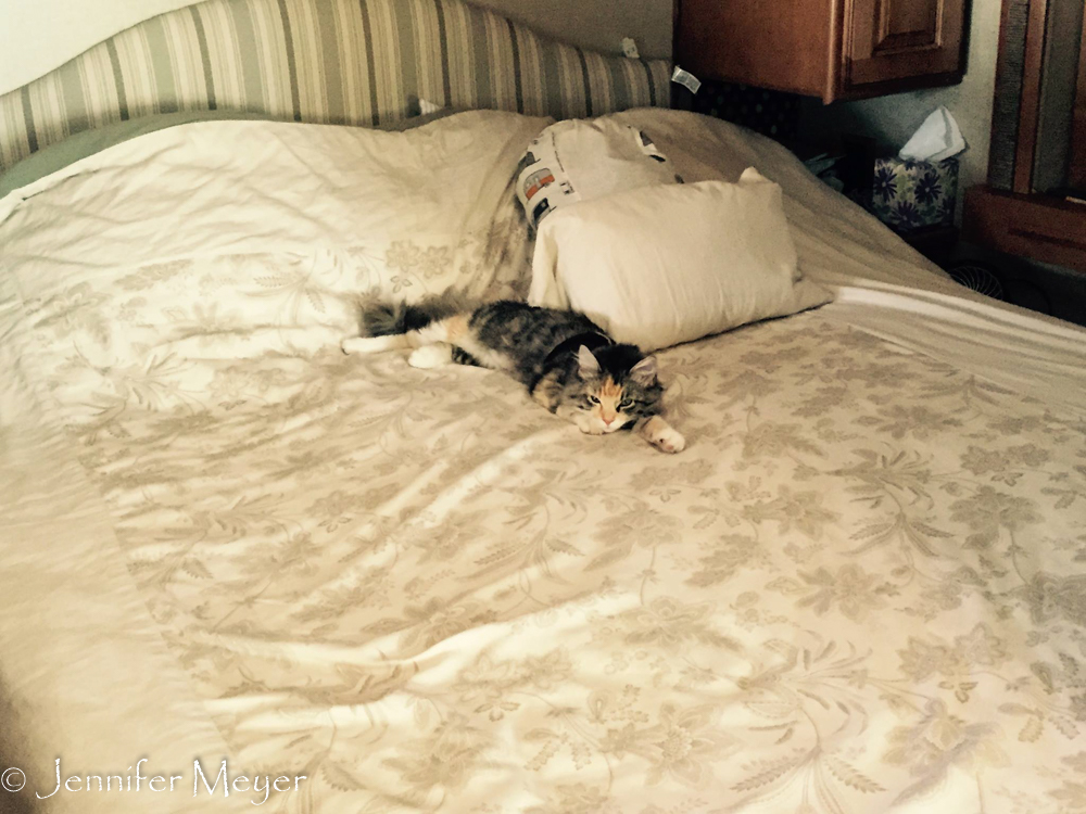 Our on the queen bed.