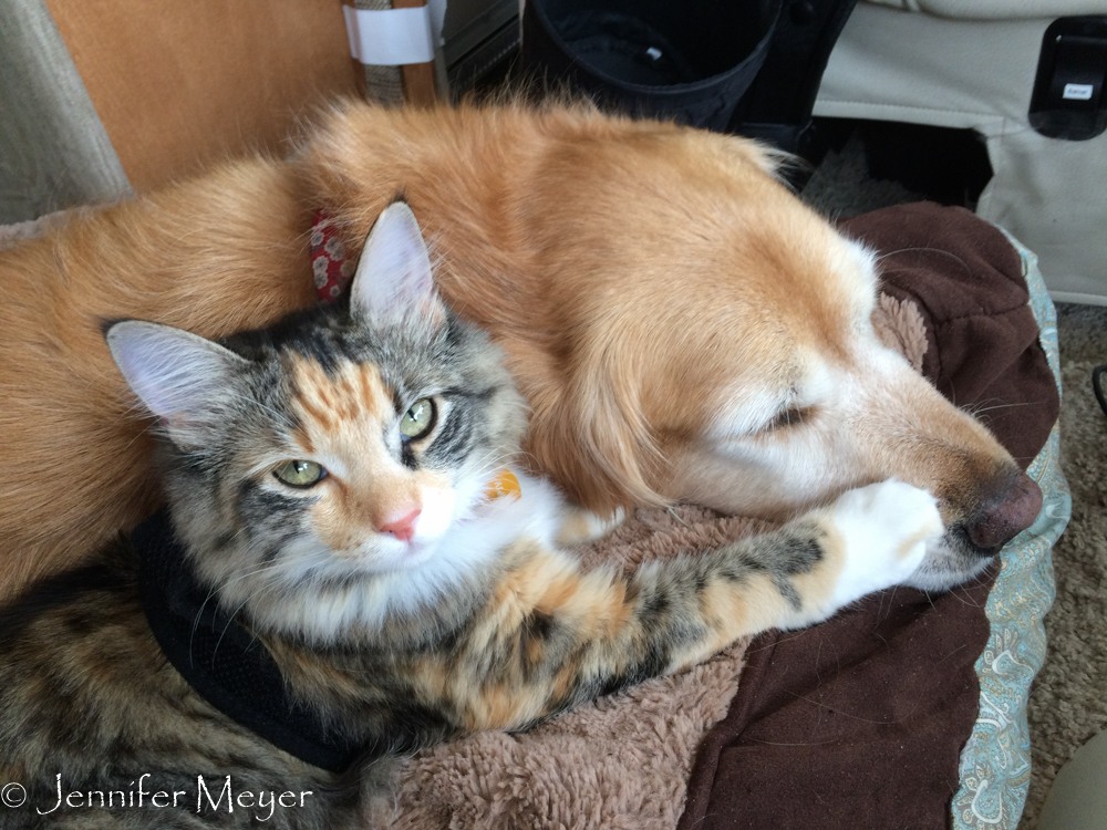 But her favorite spot is right here.