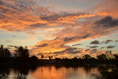 The next morning, I got up before dawn.