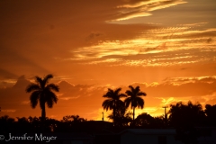 Another pretty sunrise.