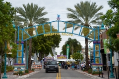 There was a Garlic Festival!