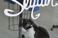 But we just walked and window shopped.