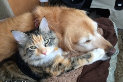 But her favorite spot is right here.