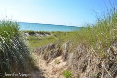 The beach near the cabin.