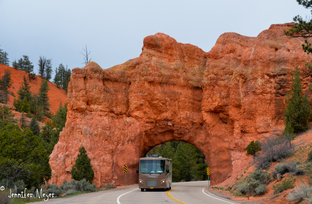 Kate drives Bessie through the arch.