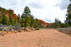 A dry river bed right by our campsite.