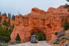 Kate drives Bessie through the arch.