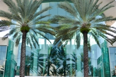 Back into hot Florida weather.