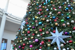 And a giant Christmas tree inside.